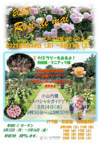 2025　Rose de mai